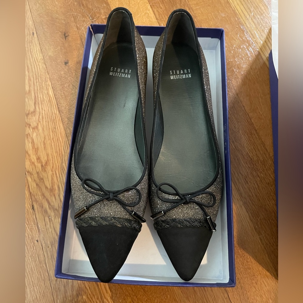 Stuart Weitzman Capricorn flat